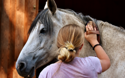 Warum immer mehr Kinder Angst vorm Reiten haben